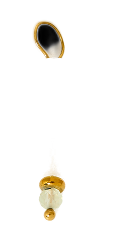 NXC202