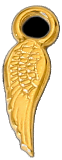 NXC306
